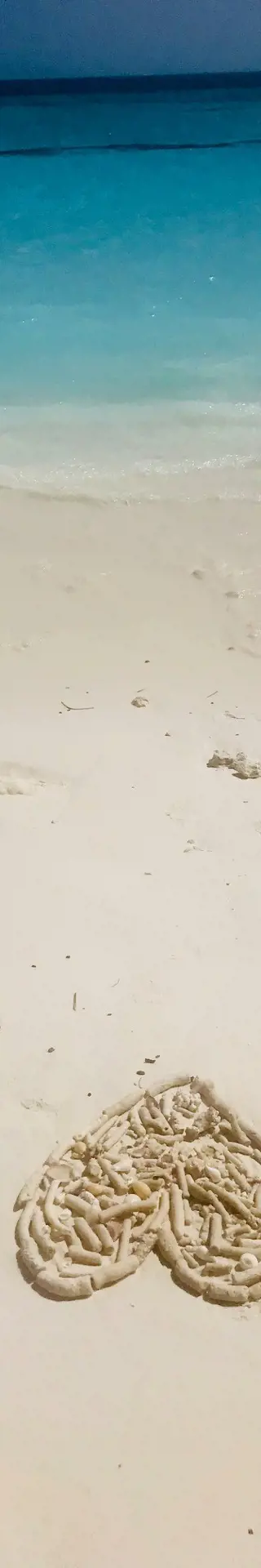 Angekommen auf den wunderschönen Malediven